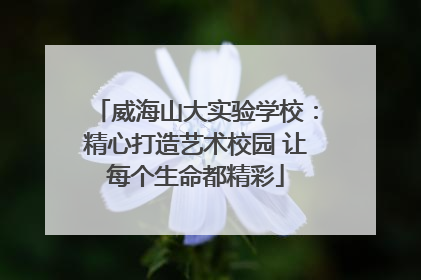 威海山大实验学校：精心打造艺术校园 让每个生命都精彩